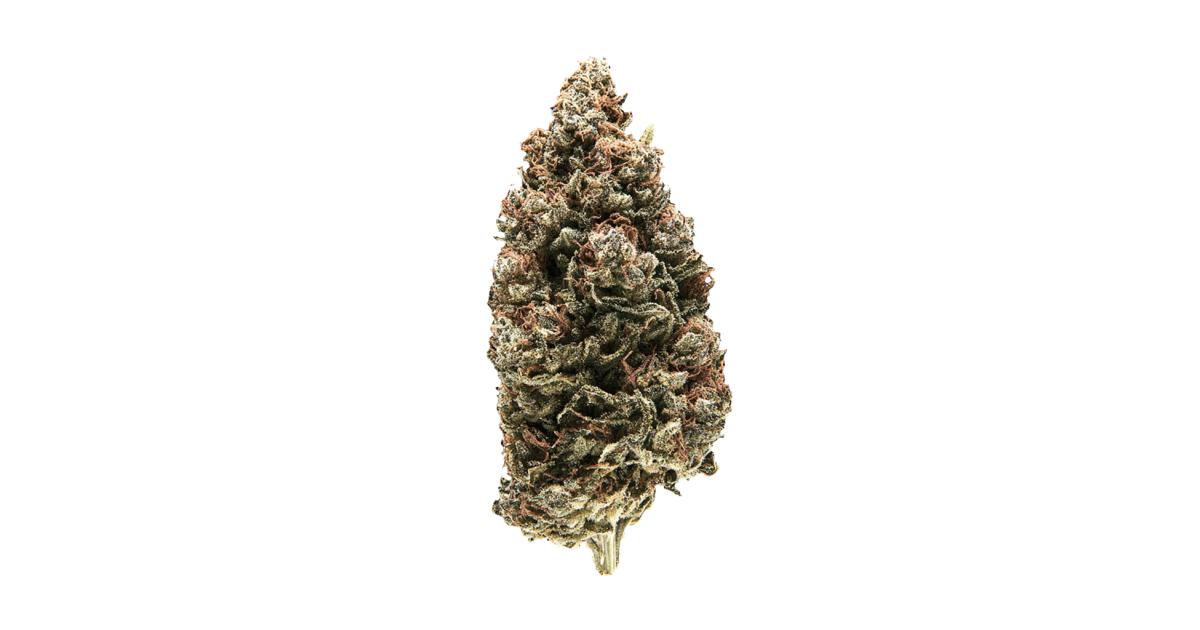 Anesthesia cannabis strain