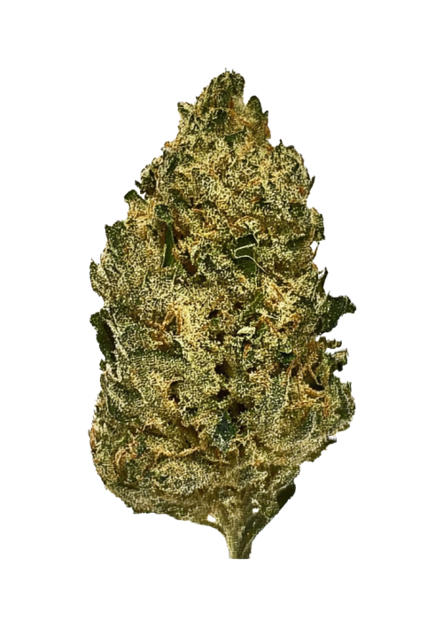 Northern Lights x Runtz