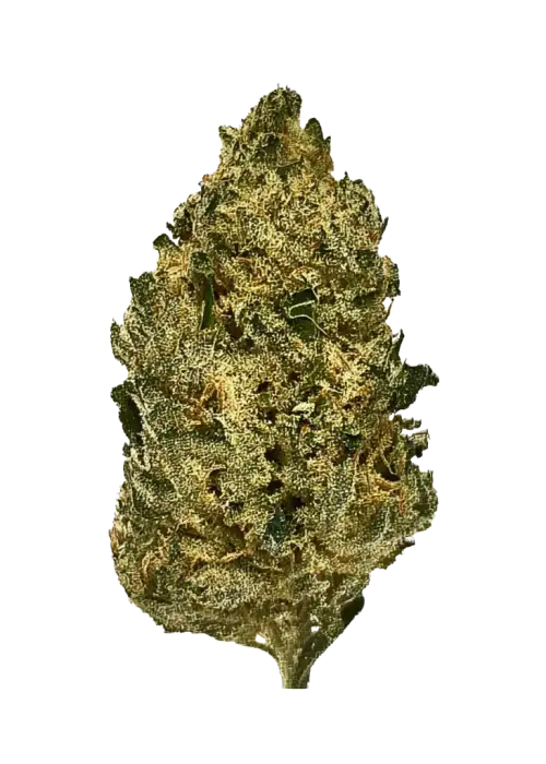 Northern Lights x Runtz
