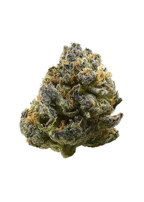 Purple Urkle x Blue Pyramid