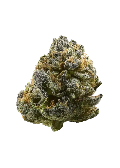 Purple Urkle x Blue Pyramid