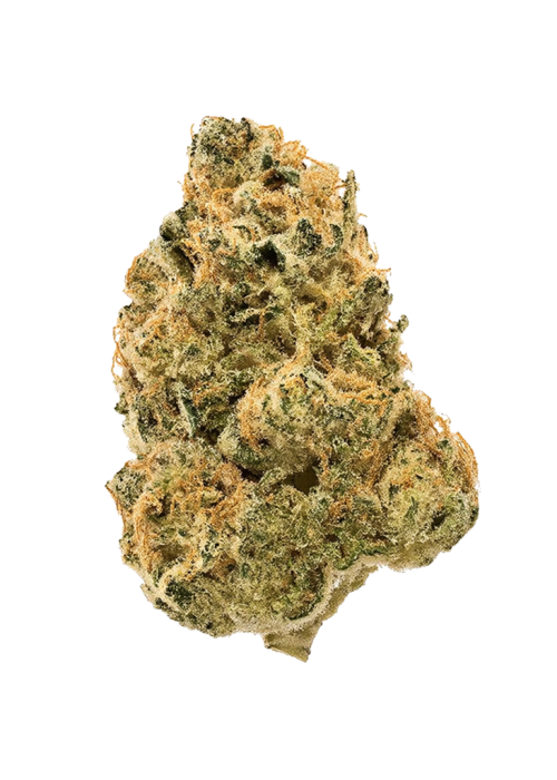 Anubis x Sunset Sherbet