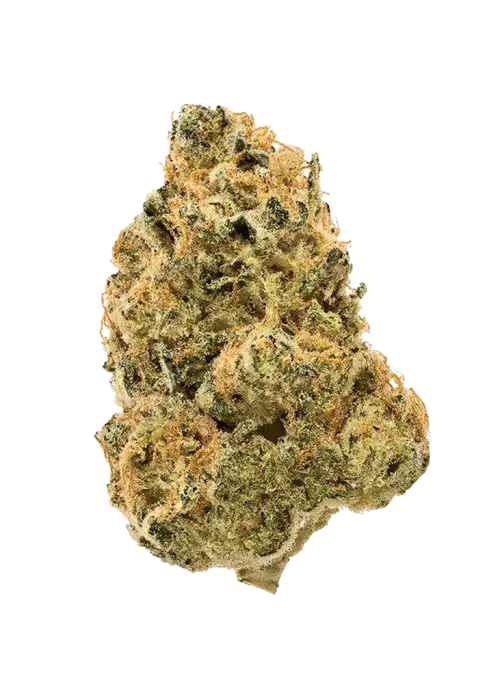 Anubis x Sunset Sherbet