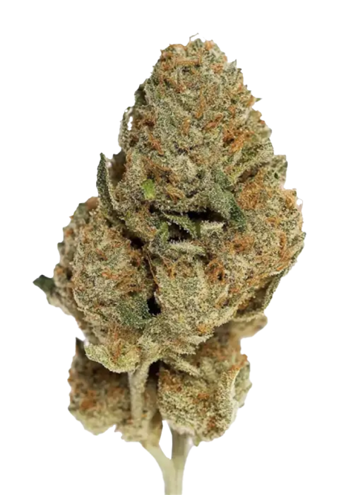 Ghost Train Haze