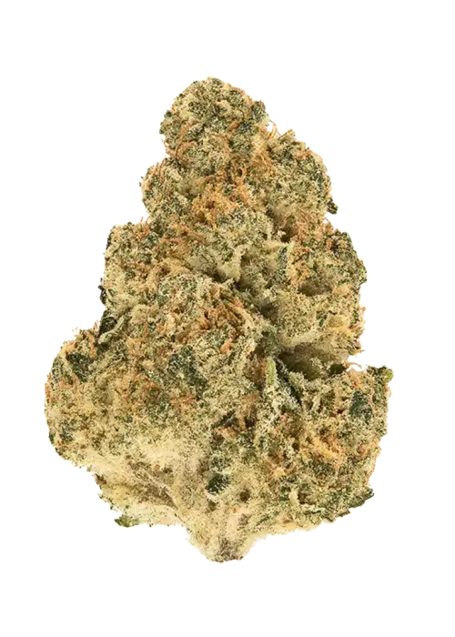 Kryptonite Fast