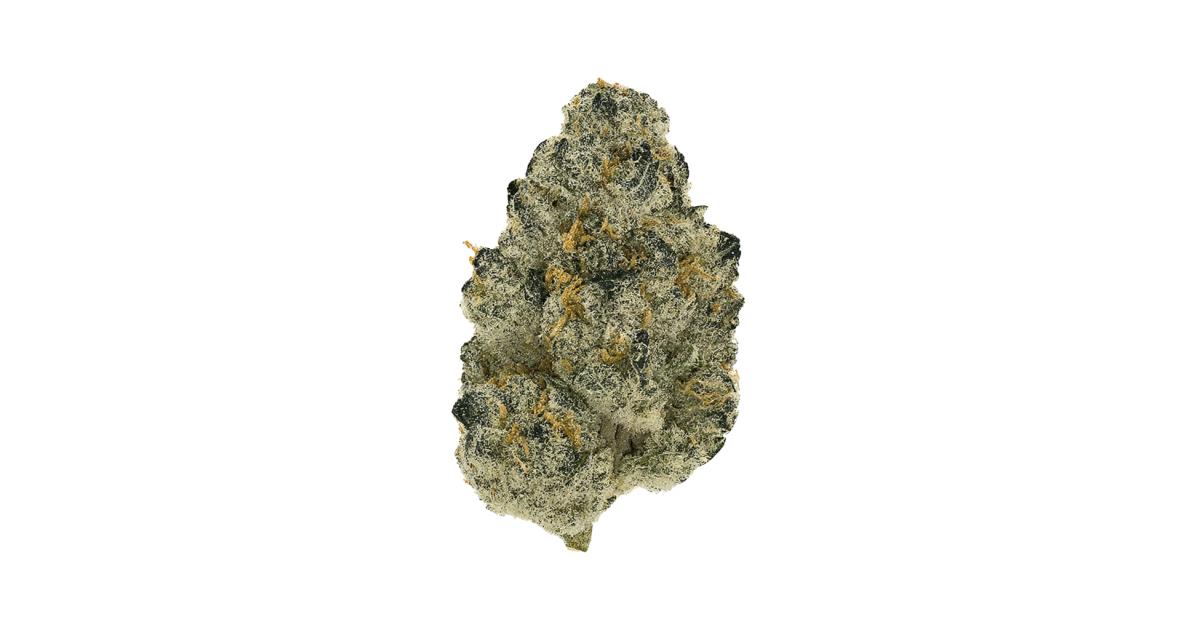 Tutankhamon cannabis strain