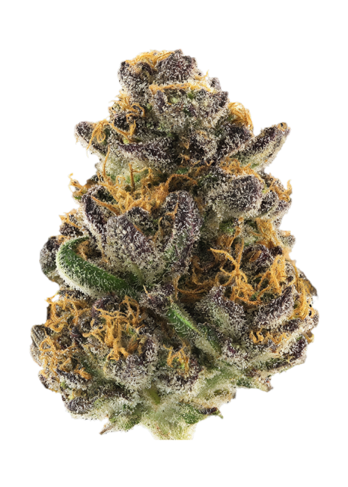 Double Kush Breath