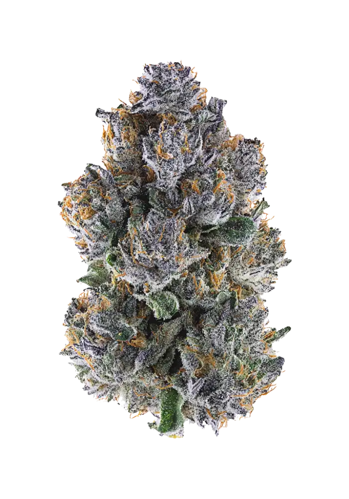 97-divine-nectar_1000.webp