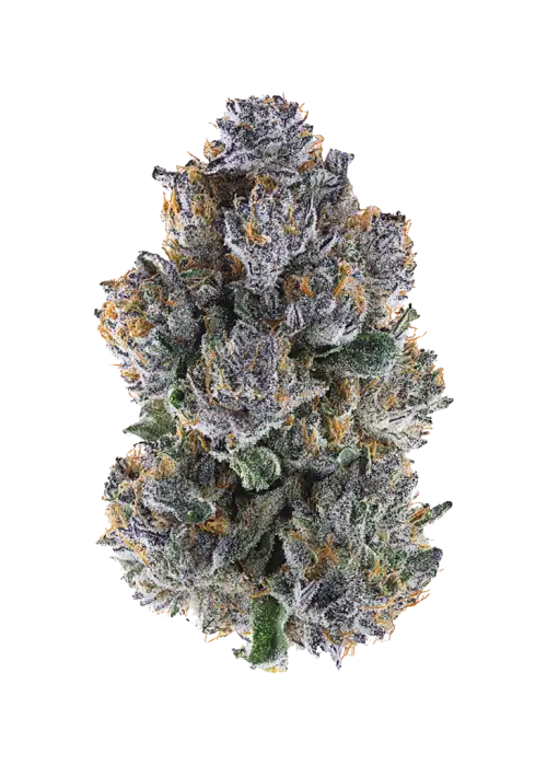Divine Nectar
