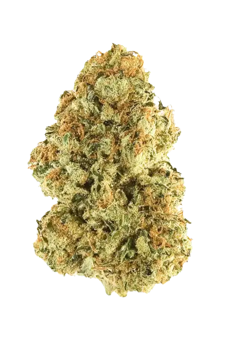 Sugar D