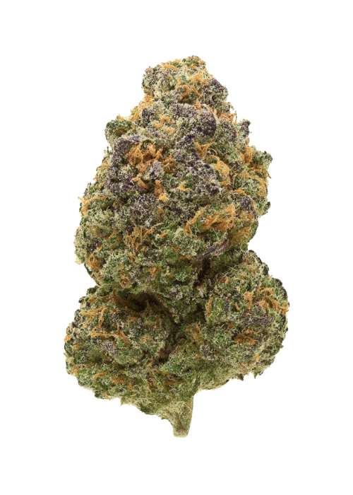 Unicorn Glue