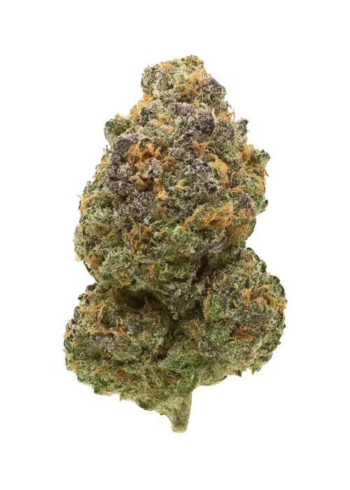 Unicorn Glue