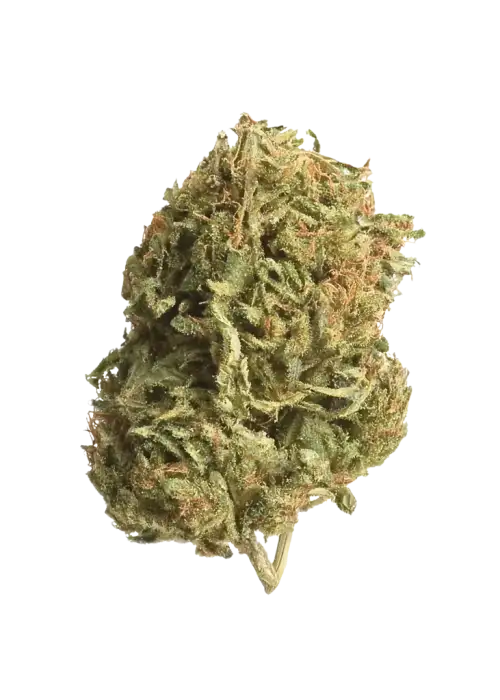 Tiki Truffle
