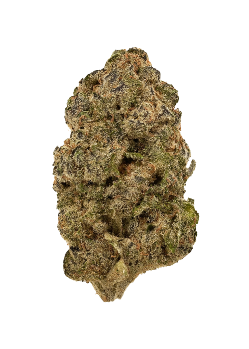 Gorilla Piña