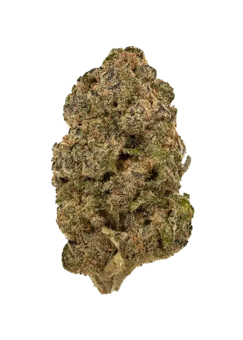 Gorilla Piña