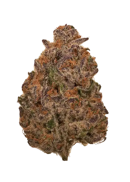 Purple Mango Kush
