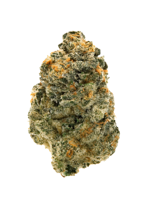 Amnesia X3 Turbo