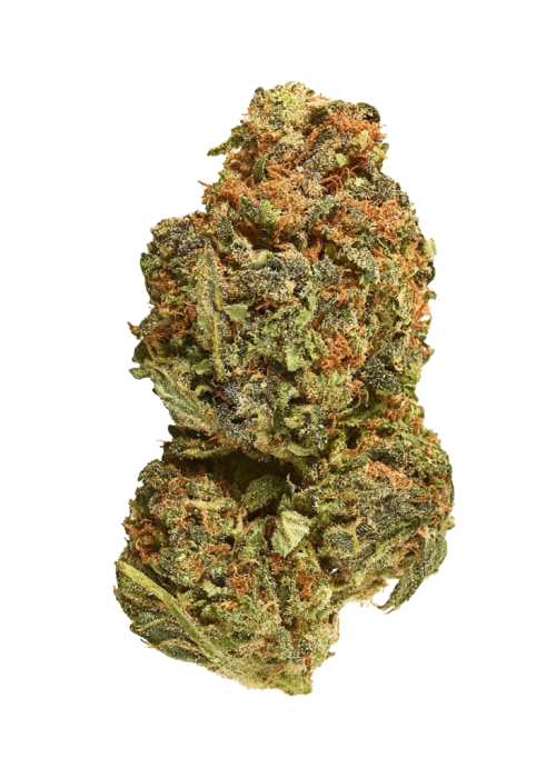 Colada Lime