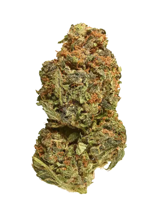 Colada Lime