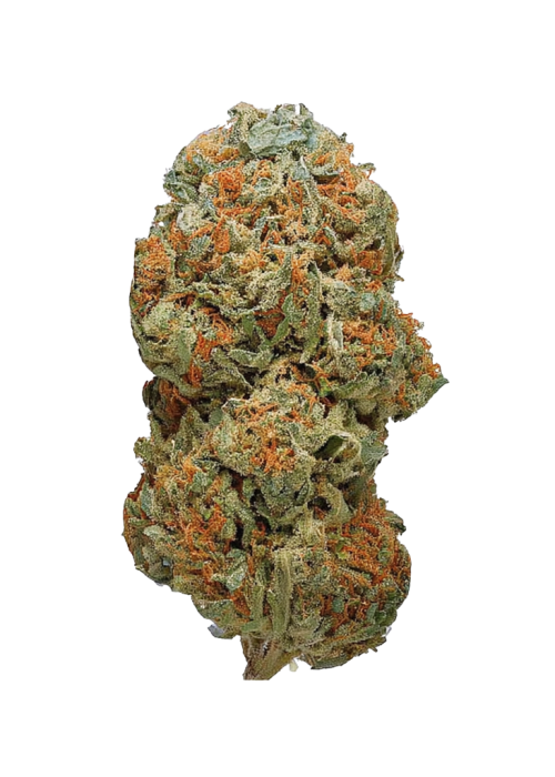 Too Much Papaya