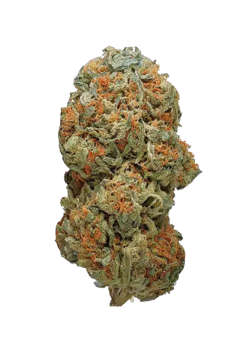 Too Much Papaya