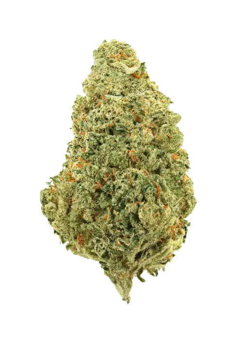 Key Lime Guava
