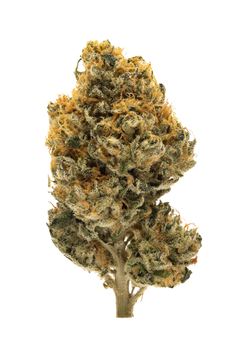 Dulce de Papaya