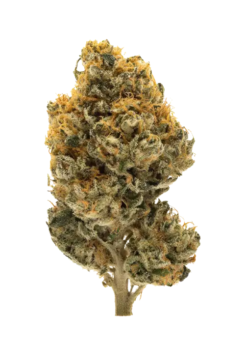 Dulce de Papaya