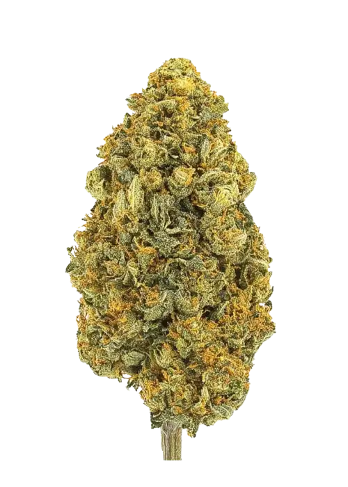 Zangria Funk