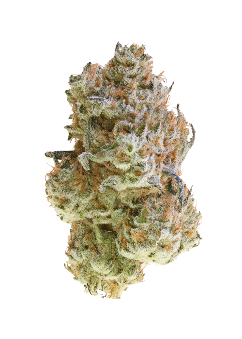 White Zangria