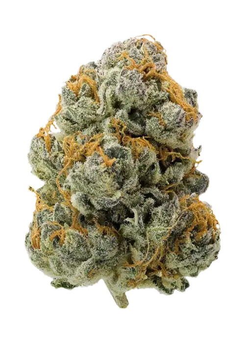London Pound Cake #75