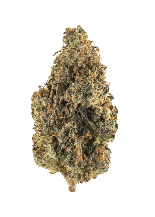 Cali Cali