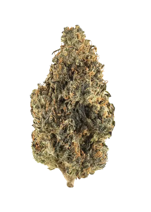 Cali Cali