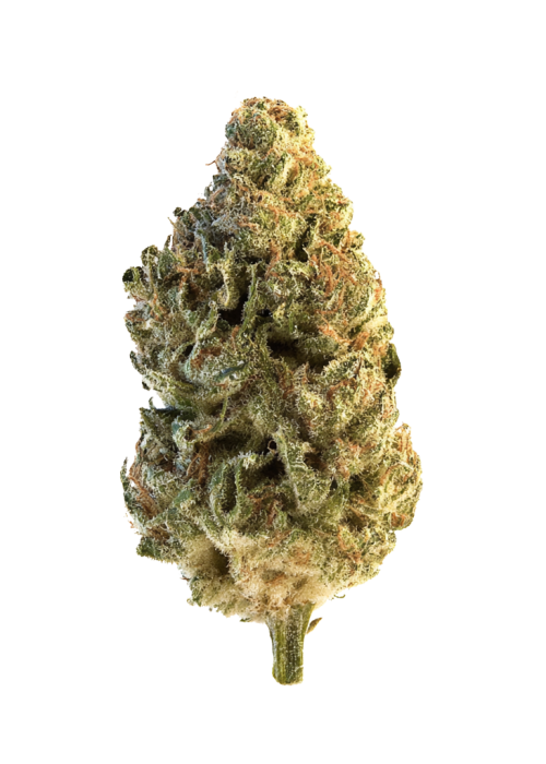 Malibu