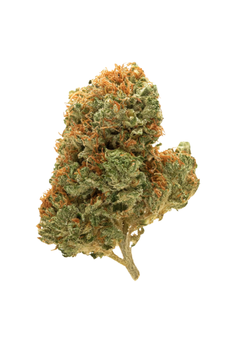 Double Afghani Kush