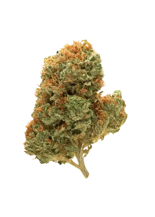 Double Afghani Kush