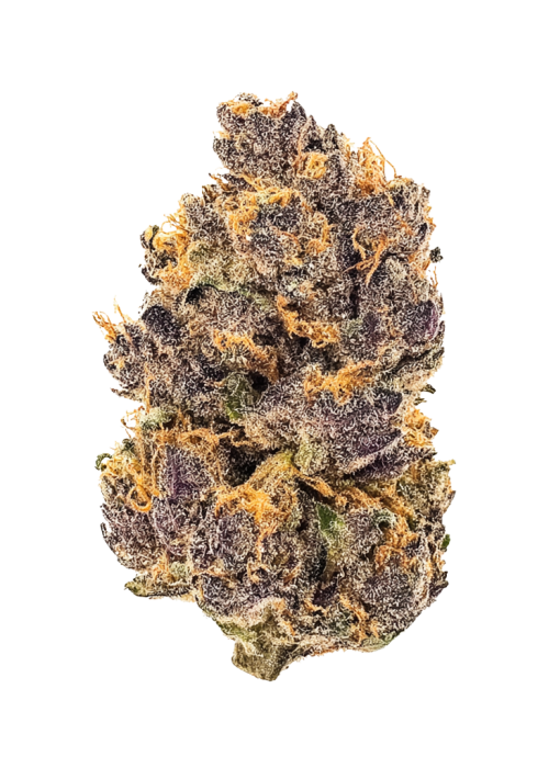Purple Rush