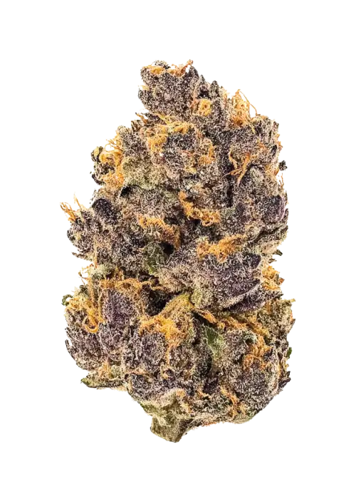 Purple Rush
