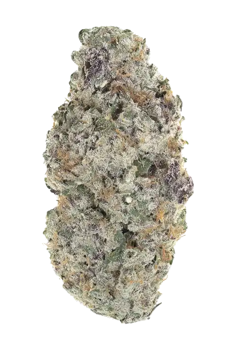 Electric Soda