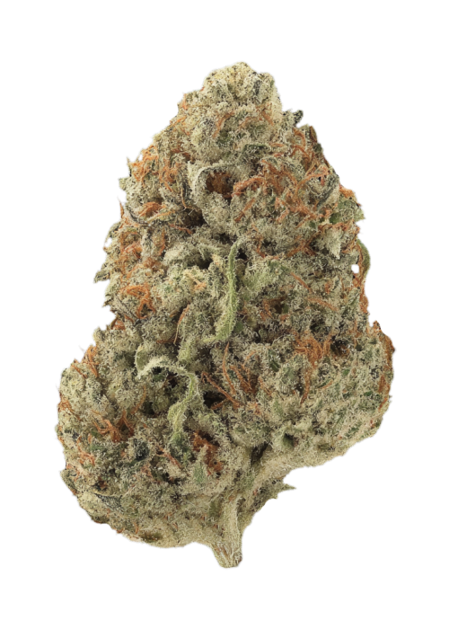 Pure Guava