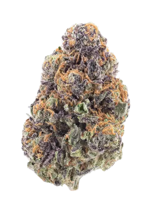 Slurricane #23