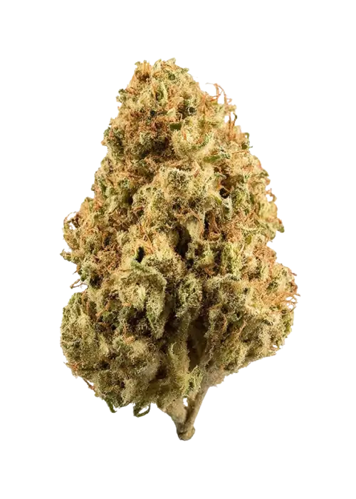 Skywalker Kush