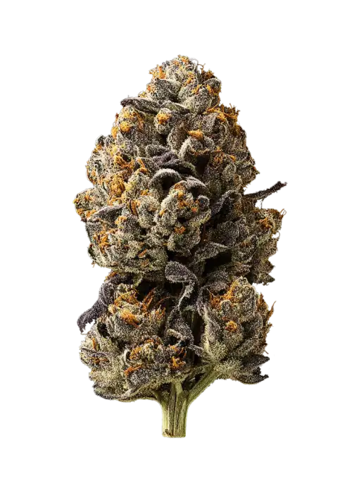 Super Banana Runtz