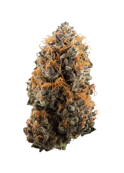 Gorilla Apple Candy