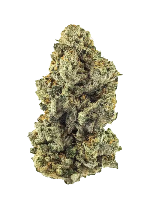 Gorilla Guava
