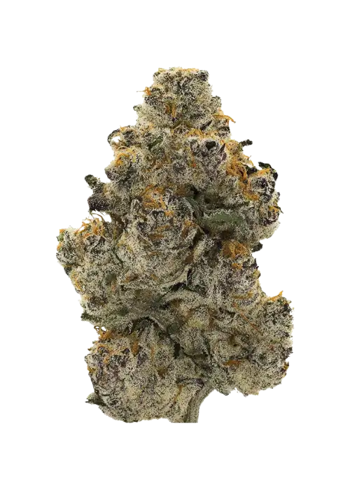 Platinum Zoap