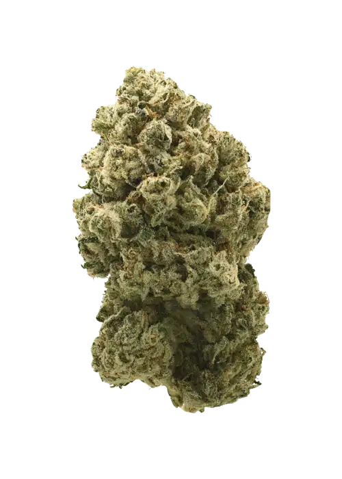 Green Apple Tangie