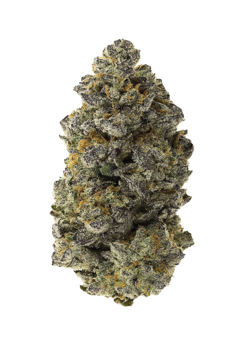 Super Sour Runtz