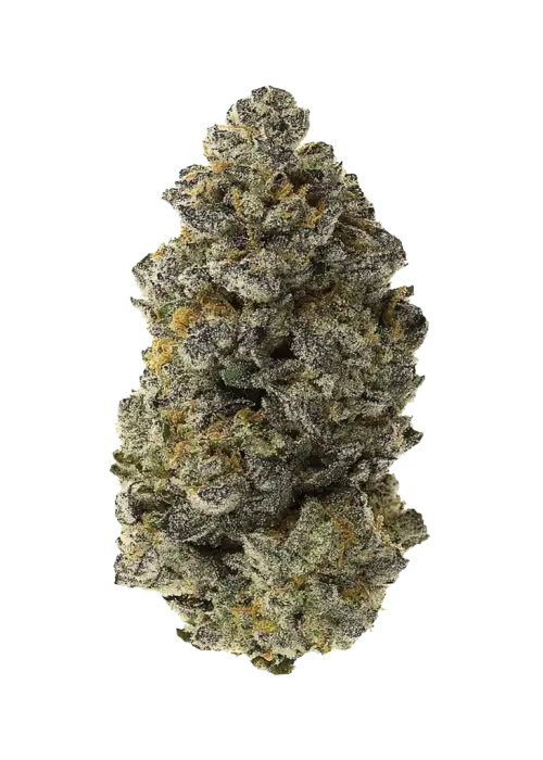 Super Sour Runtz