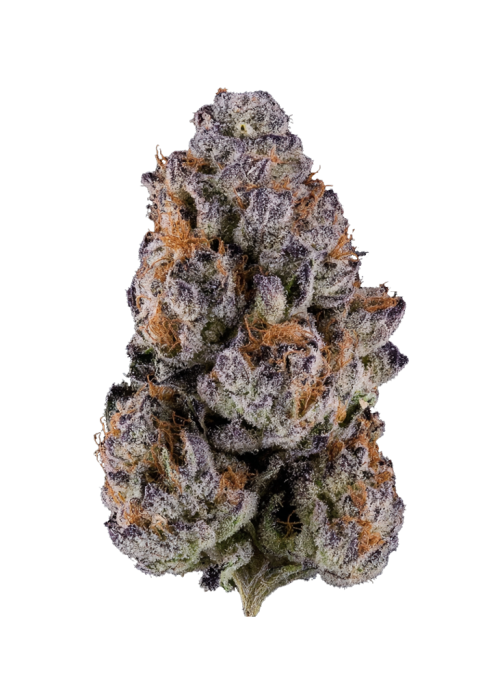 Blueberry Swirl